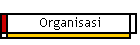 Organisasi